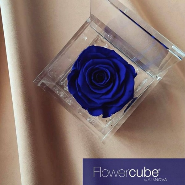 Flowercube Rosa Preservada em Cubo de Acrílico Azul