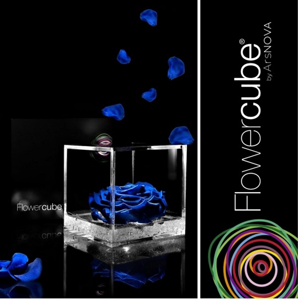 Flowercube Rosa Preservada em Cubo de Acrílico Azul