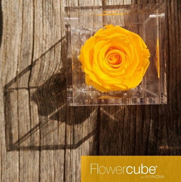 Flowercube Rosa Preservada em Cubo de Acrílico Amarelo