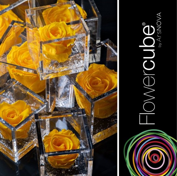 Flowercube Rosa Preservada em Cubo de Acrílico Amarelo