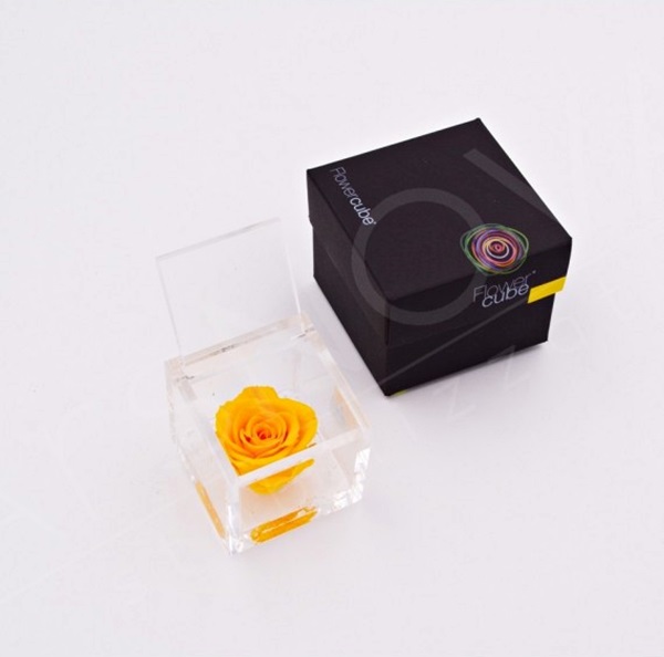 Flowercube Rosa Preservada em Cubo de Acrílico Amarelo