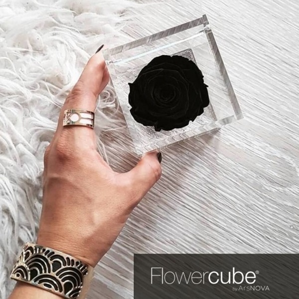 Flowercube Rosa Preservada em Cubo de Acrílico Negro