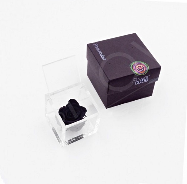 Flowercube Rosa Preservada em Cubo de Acrílico Negro