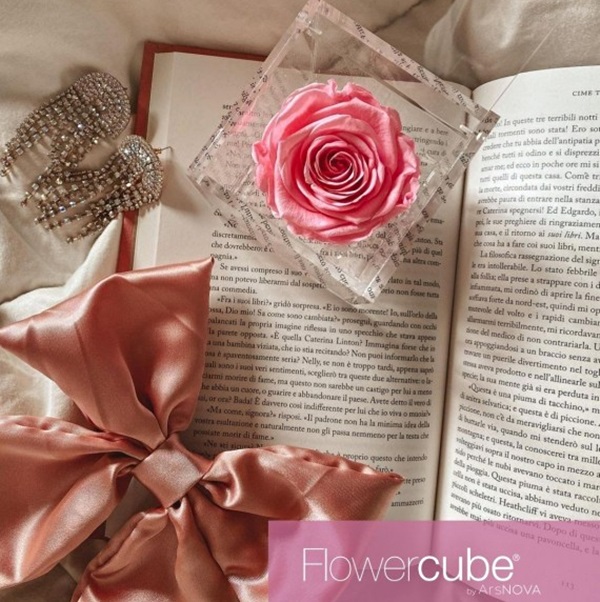 Flowercube Rosa Preservada em Cubo de Acrílico Rosa