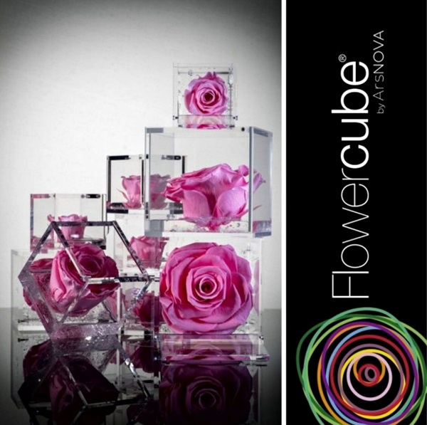 Flowercube Rosa Preservada em Cubo de Acrílico Rosa