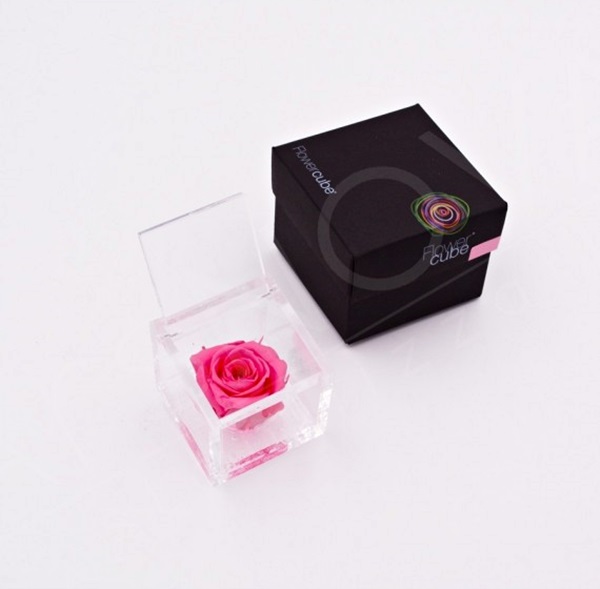 Flowercube Rosa Preservada em Cubo de Acrílico Rosa