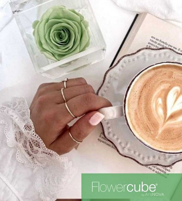 Flowercube Rosa Preservada em Cubo de Acrílico Verde