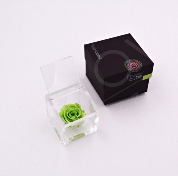 Flowercube Rosa Preservada em Cubo de Acrílico Verde