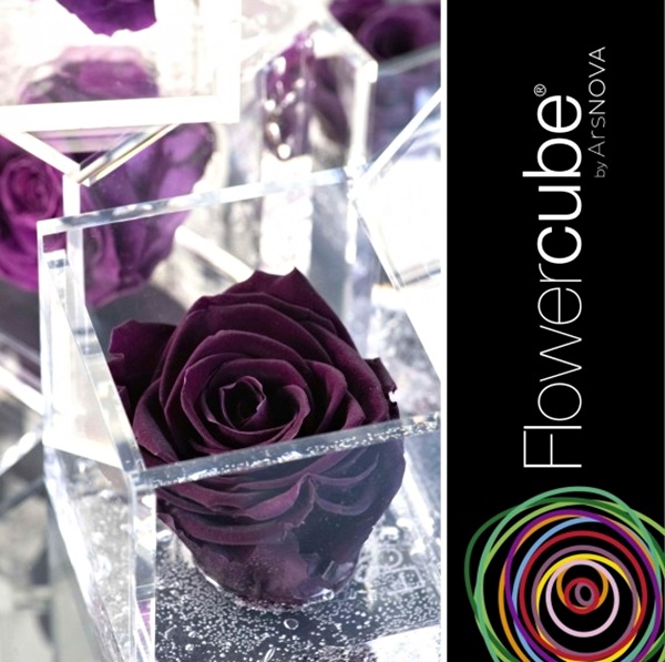 Flowercube Rosa Preservada em Cubo de Acrílico Violeta