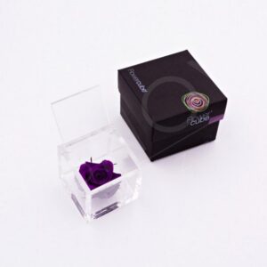 Flowercube Rosa Preservada em Cubo de Acrílico Violeta