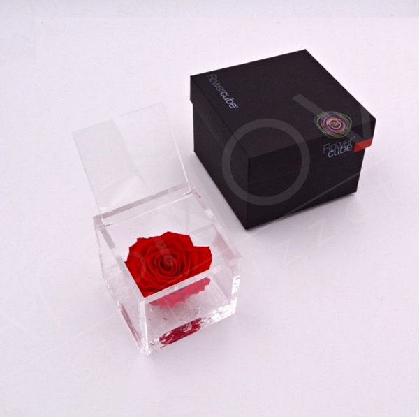 Flowercube Rosa Preservada em Cubo de Acrílico Vermelha