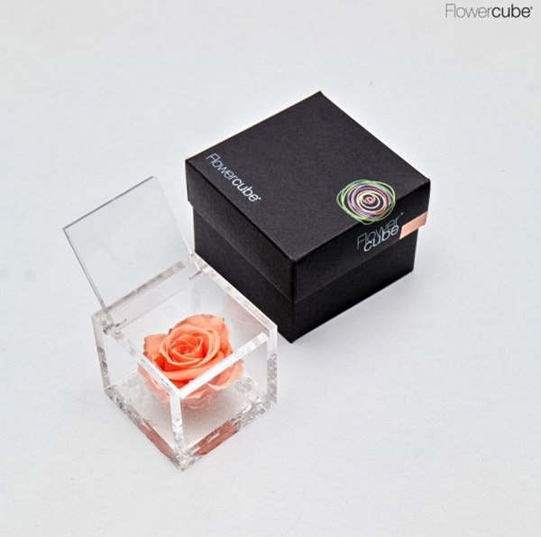 Flowercube Rosa Preservada em Cubo de Acrílico Pêssego