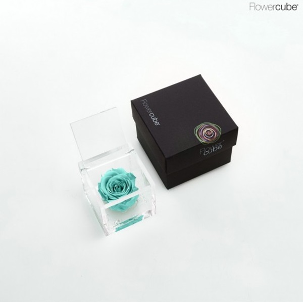 Flowercube Rosa Preservada em Cubo de Acrílico Turquesa