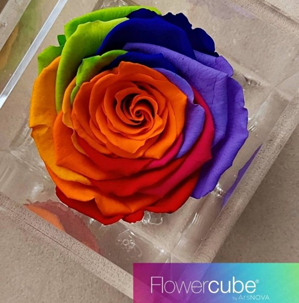 Flowercube Rosa Preservada em Cubo de Acrílico Arco-íris