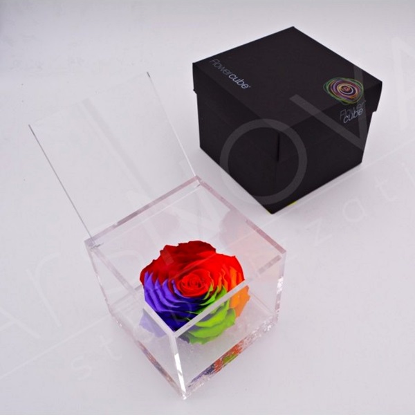 Flowercube Rosa Preservada em Cubo de Acrílico Arco-íris