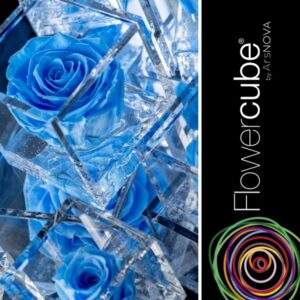 Flowercube Rosa Preservada em Cubo de Acrílico Azul Celeste