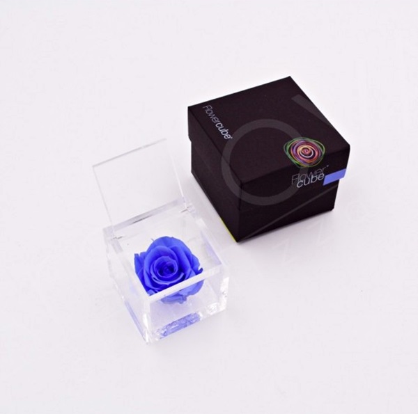 Flowercube Rosa Preservada em Cubo de Acrílico Azul Celeste