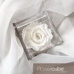 Flowercube Rosa Preservada em Cubo de Acrílico Branca