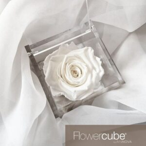 Flowercube Rosa Preservada em Cubo de Acrílico Branca