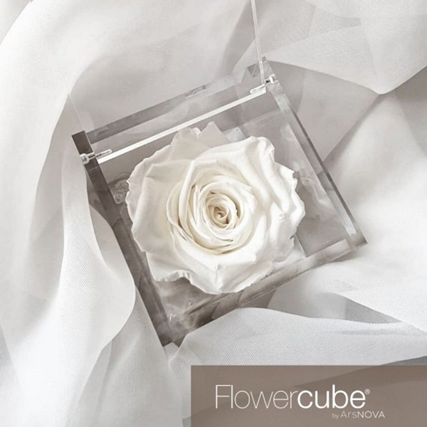 Flowercube Rosa Preservada em Cubo de Acrílico Branca
