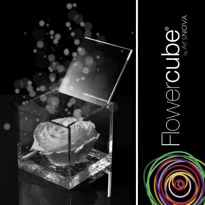 Flowercube Rosa Preservada em Cubo de Acrílico Branca