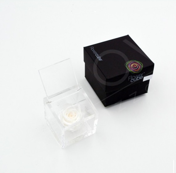 Flowercube Rosa Preservada em Cubo de Acrílico Branca
