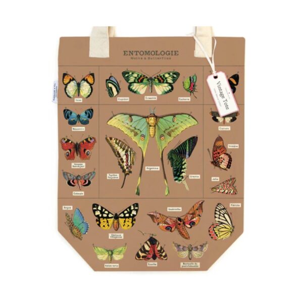 Tote Bag Cavallini 33×40.5cm Entomology