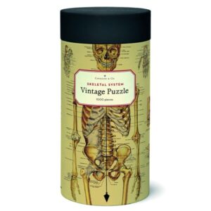 Puzzle Cavallini 1000 pçs 55X70cm Skeletal System