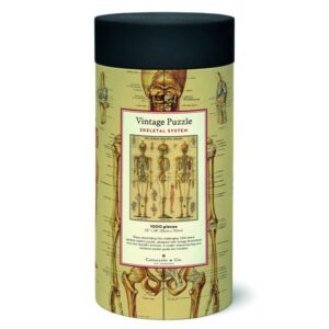 Puzzle Cavallini 1000 pçs 55X70cm Skeletal System