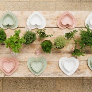 Prato em Coração Verde