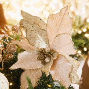 Flor de Natal Cor Champanhe