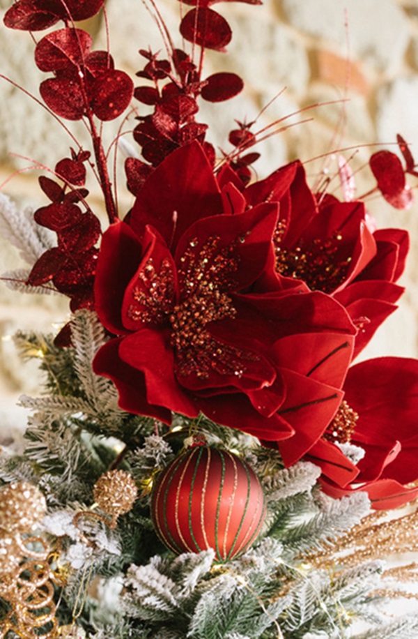 Flor de Natal Vermelha