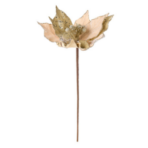 Flor de Natal Cor Champanhe