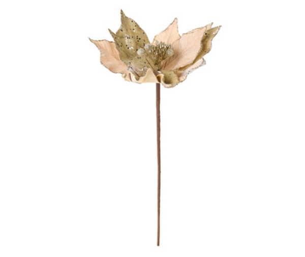 Flor de Natal Cor Champanhe