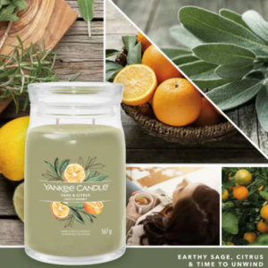 Yankee Candle Sage & Citrus