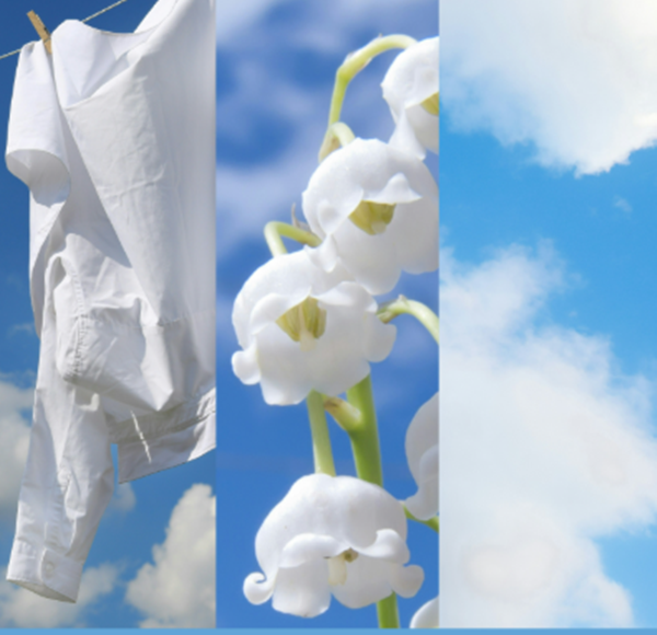 Yankee Candle Clean Cotton Signature Tumbler