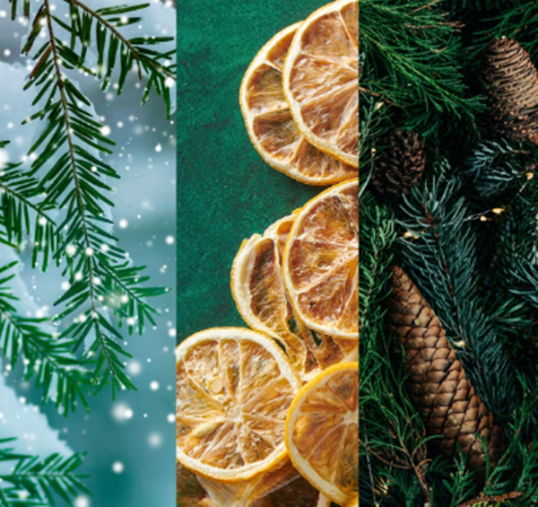 Yankee Candle Holiday Winterfest Signature Tumbler