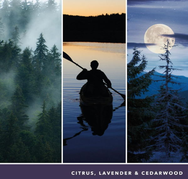 Yankee Candle Midsummer`s Night