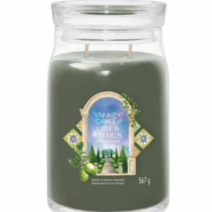 Yankee Candle Olive & Cypress