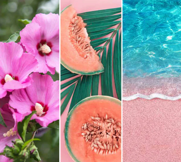 Yankee Candle Pink Sands Signature Tumbler