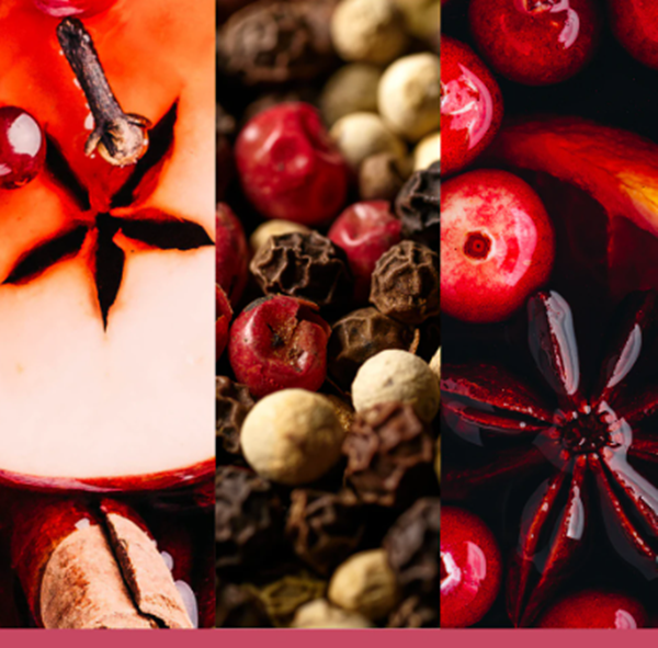 Yankee Candle- Santa on Skis