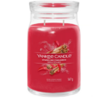 Yankee Candle Sparkling Cinnamon