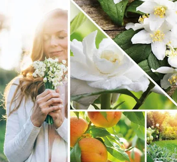 Yankee Candle White Gardenia Signature Large Tumbler