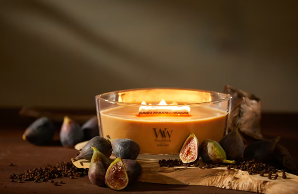 Vela Elipse Gilded Sands Woodwick