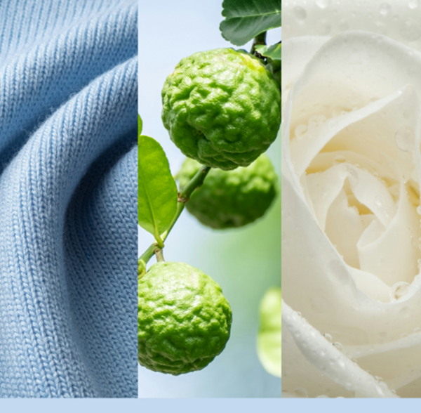 Vela Yankee Candle Grande – Soft Blanket