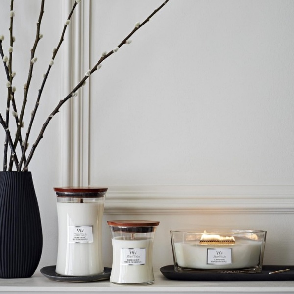 Vela Elipse Island Coconut WoodWick