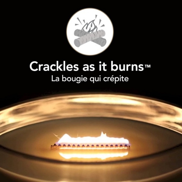 Vela Elipse Vanilla Bean Woodwick