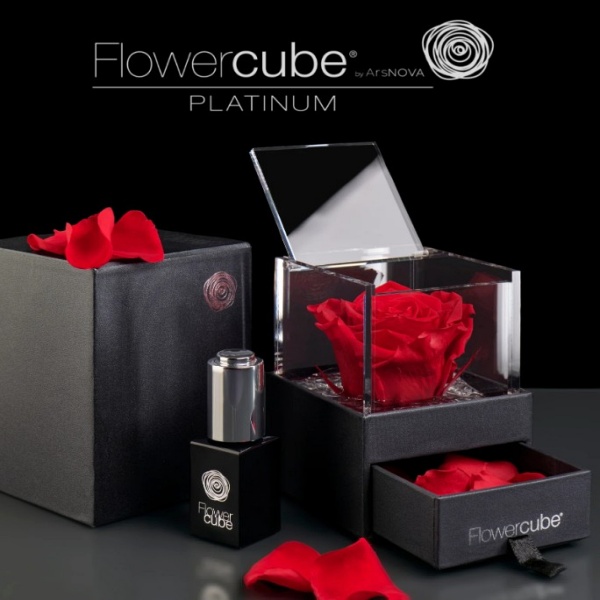 Flowercube - O Cubo da Emoção: Rosa, Pétalas e Essência Platinum