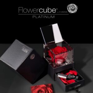 Flowercube - O Cubo da Emoção: Rosa, Pétalas e Essência Platinum