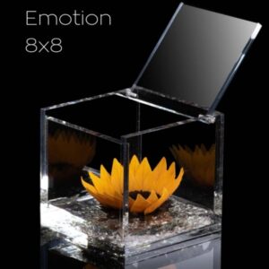 Flowercube Girassol Preservado em Cubo de Acrílico